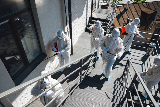 Best Mold Removal for HVAC Installations  in Vincent, AL