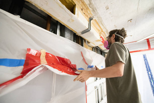 Best Water Damage & Mold Remediation  in Vincent, AL