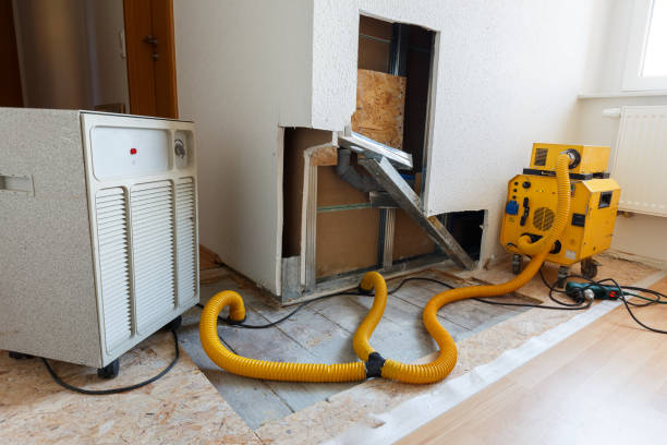Best Indoor Air Quality Assessment  in Vincent, AL