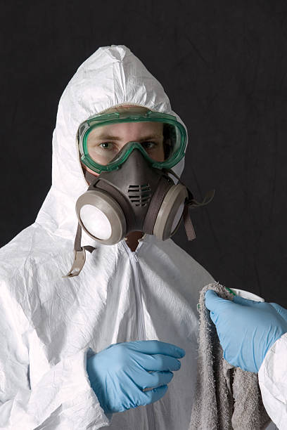 Best Mold Odor Removal Services  in Vincent, AL